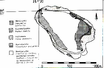 Kasvvyoh.jpg (28810 bytes)