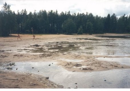 Tietoja kunnasta