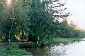 papinjranta2.jpg (20682 bytes)
