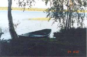 papinjvene1.jpg (17117 bytes)
