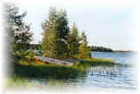 vesiensuojelu