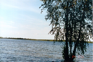 papinjvesi.jpg (74172 bytes)