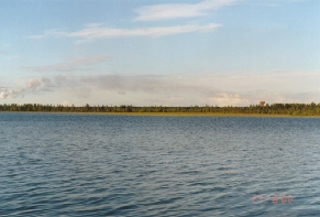 papinjvetta.jpg (46399 bytes)